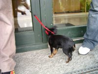 PIC 0038