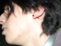 DSC 5137