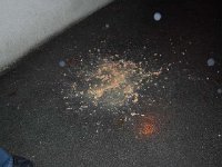 DSC 5188
