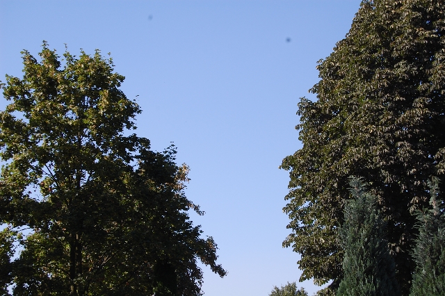 DSC_9214.JPG