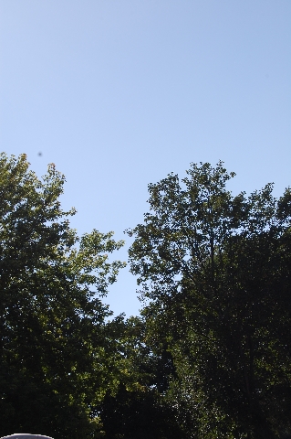 DSC_9227.JPG